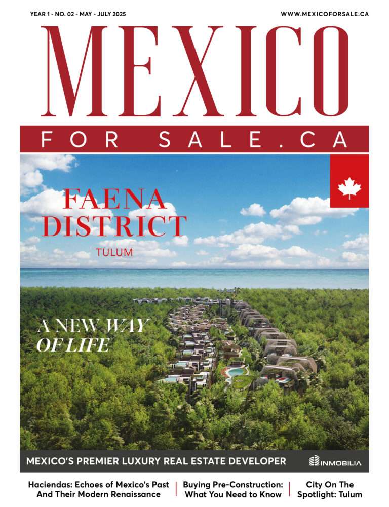 Mexico For Sale – 2nd Edition