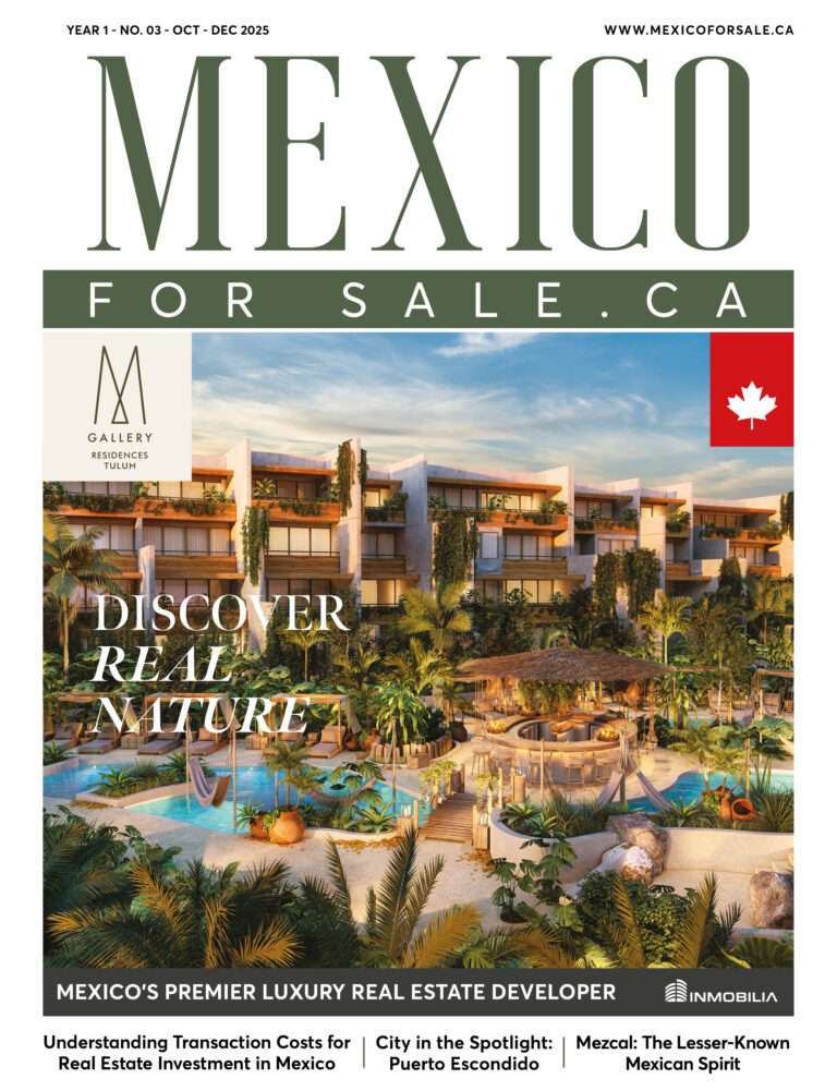 Mexico For Sale – 3rd Edition